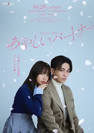 奇怪的搭檔 日本版