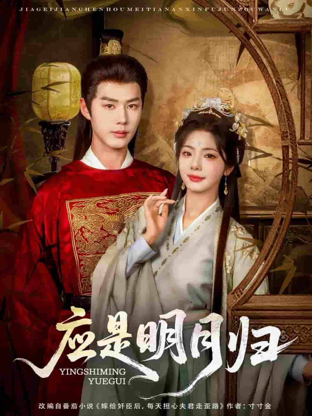 應(yīng)是明月歸(全集)