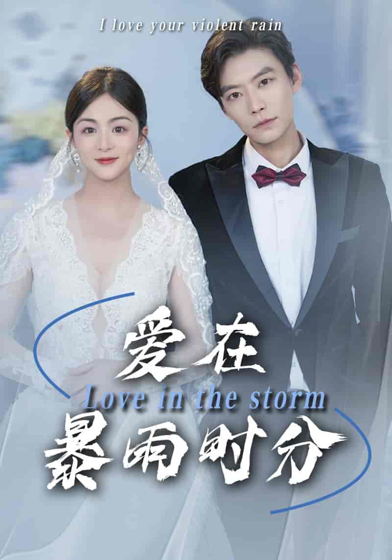 愛(ài)在暴雨時(shí)分(全集)