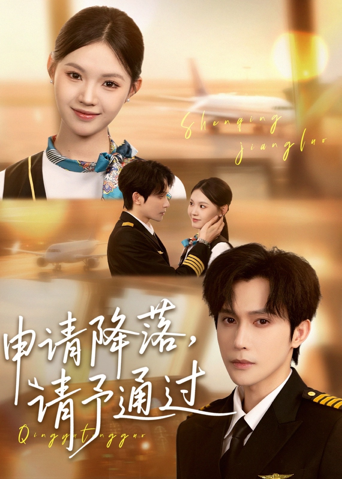 申請降落請予通過(全集)